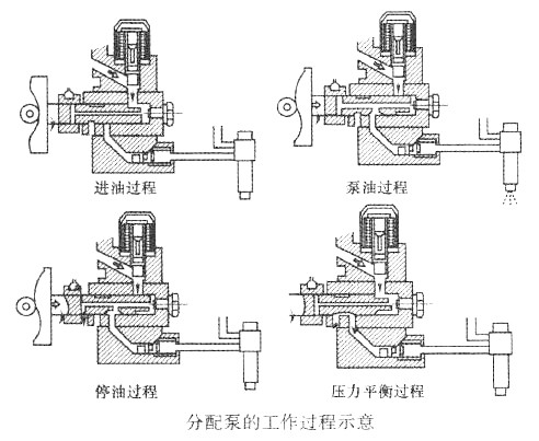 分配泵的工作过程示意