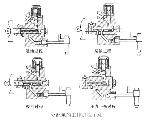 分配泵的工作过程示意