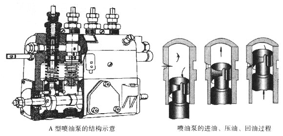 A型喷油泵的结构示意 A型喷油泵的结构示意