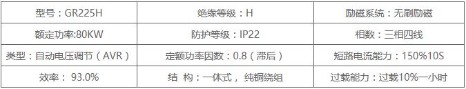 R225H发电机技术参数