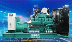 <b>津巴布韦EPVET公司800KW康明斯发电机组</b>