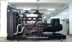 广西融水融协投资公司2台800KW上柴发电机案例