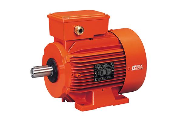 Leroy Somer LSA52.3 L12交流发电机