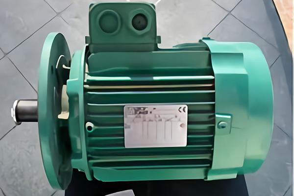 LSA49.3交流发电机