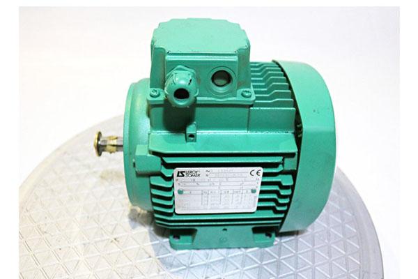 利莱森玛Leroy Somer LSA46.3 S4交流发电机